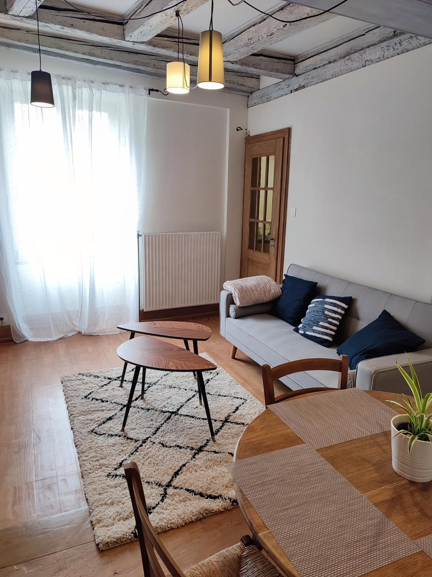 Chaleureux 3 Pieces Au Centre De Selestat Apartment Luaran gambar